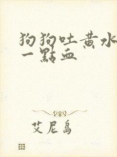 狗狗吐黄水还带一点血