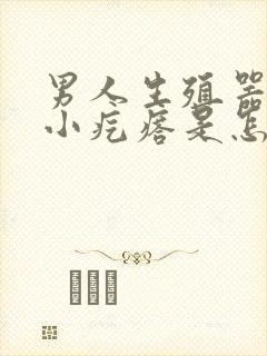 男人生殖器里有小疙瘩是怎么了