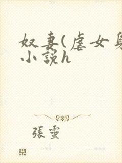 奴妻(虐女身)小说h封面