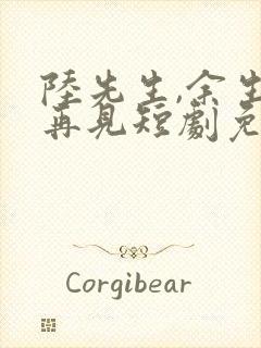 陆先生,余生不再见短剧免费