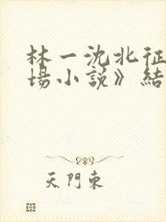 林一沈北征《官场小说》结局封面