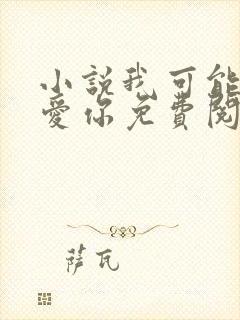 小说我可能不会爱你免费阅读