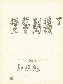 总裁别追了全文免费阅读