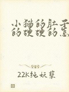 小猫的肚子鼓鼓的硬硬的怎么回事封面