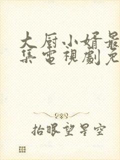 大厨小婿最新剧集电视剧免费看