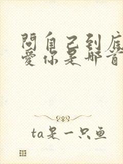 问自己到底爱不爱你是哪首歌的歌词