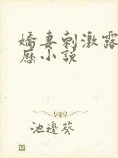 娇妻刺激露出经历小说