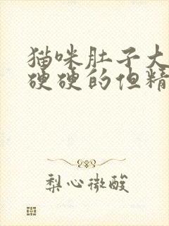 猫咪肚子大大的硬硬的但精神食欲挺好的封面