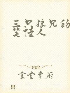 三只狼兄的宠妻笑佳人