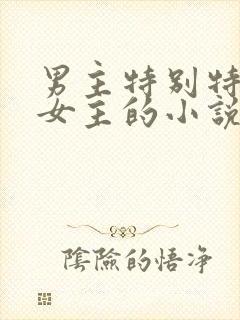 男主特别特别爱女主的小说