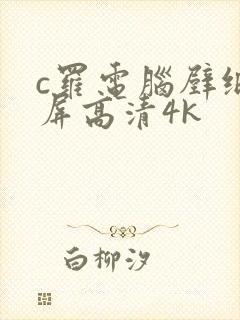 c罗电脑壁纸全屏高清4k