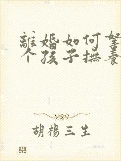 离婚如何拿到两个孩子抚养权