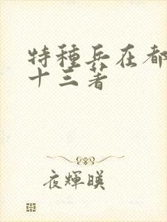 特种兵在都市夜十三著