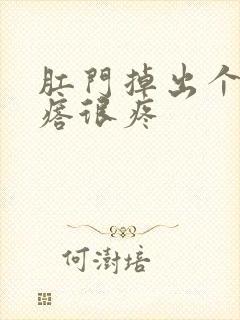 肛门掉出个硬疙瘩很疼