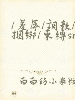 /羞辱/调教/捆绑/束缚sm