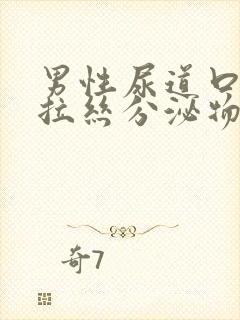 男性尿道口透明拉丝分泌物