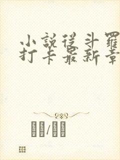 小说从斗罗开始打卡最新章节