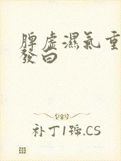 脾虚湿气重舌苔发白