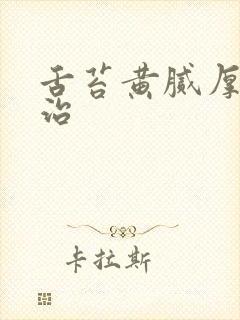 舌苔黄腻厚怎么治