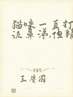 猫咪一直打喷嚏流鼻涕,但精神很好