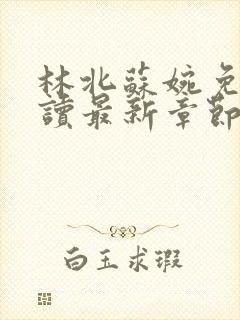 林北苏婉免费阅读最新章节