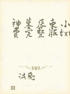 神墓辰东小说免费完整版txt