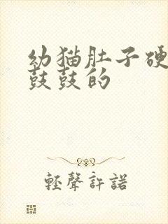 幼猫肚子硬硬的鼓鼓的