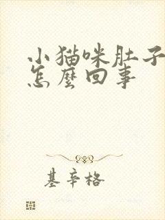 小猫咪肚子大是怎么回事