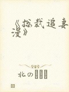 《总裁追妻路漫漫》封面