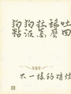 狗狗拉稀吐黄沫粘液怎么回事