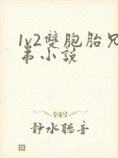 1v2双胞胎兄弟小说