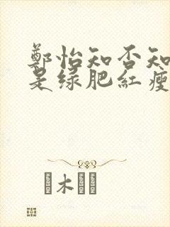 郑怡知否知否应是绿肥红瘦封面