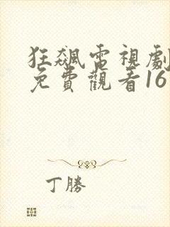 狂飙电视剧全集免费观看16集封面
