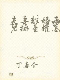 夫妻离婚两个女儿抚养权怎么判封面