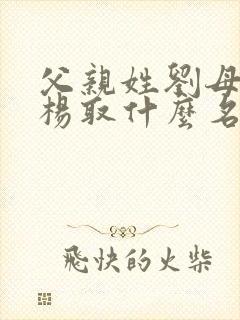 父亲姓刘母亲姓杨取什么名字好