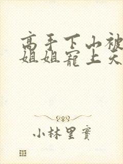 高手下山被七个姐姐宠上天无删减全本阅读