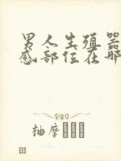 男人生殖器的敏感部位在哪里