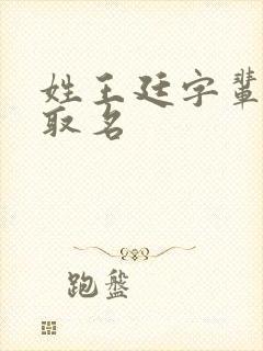 姓王廷字辈怎么取名封面