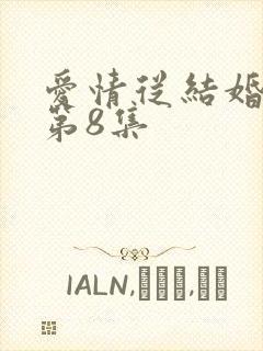 爱情从结婚开始第8集