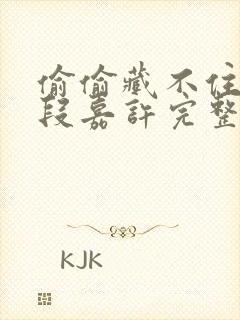 偷偷藏不住桑稚段嘉许完整精校版封面