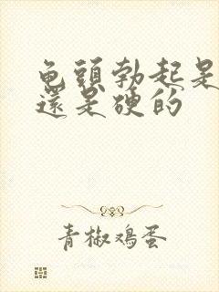 龟头勃起是软的还是硬的