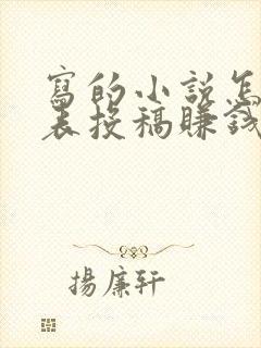 写的小说怎么发表投稿赚钱封面