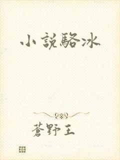 小说骆冰