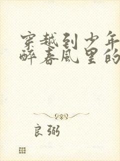 穿越到少年白马醉春风里的小说