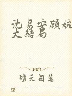 沈易安顾婉后续大结局