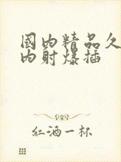 国内精品久久久内射爆插