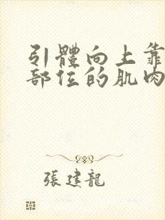 引体向上靠什么部位的肌肉