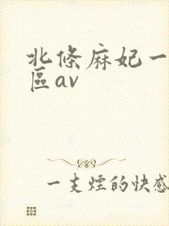 北条麻妃一区二区av