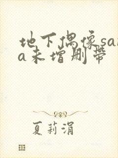 地下偶像sana未增删带