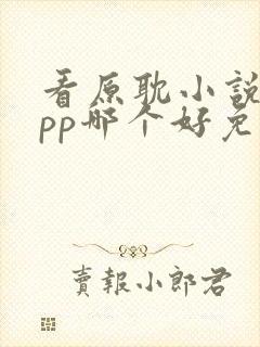 看原耽小说的app哪个好免费